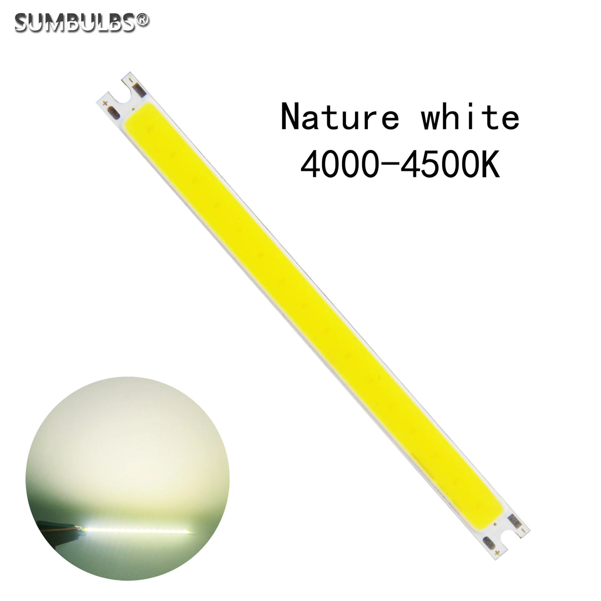 LED 5W DC 12V LED COB Bulb Strip Light Source Warm Pure White DIY 10CM 500LM 100x8MM Lamp