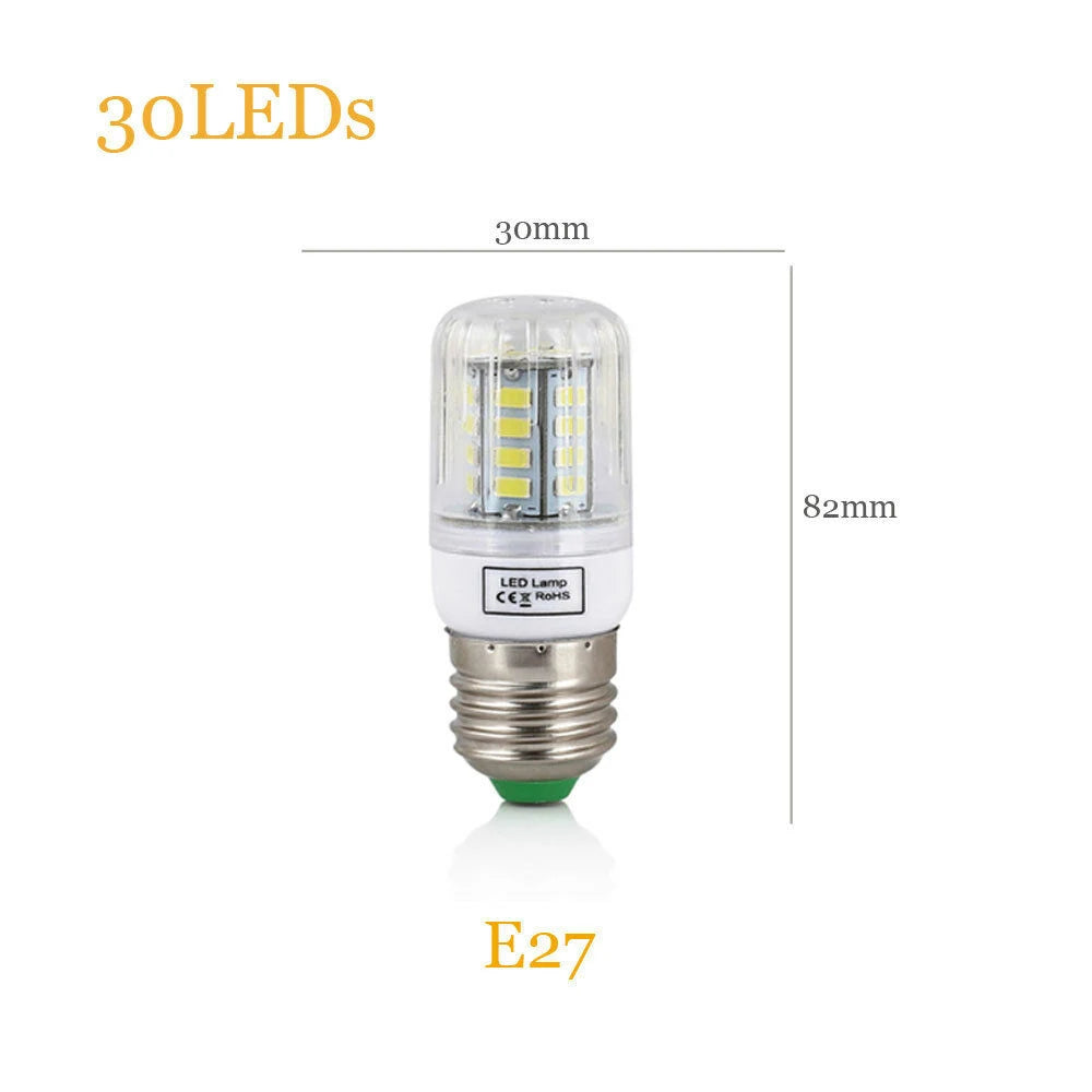 45297248043265|45297248436481