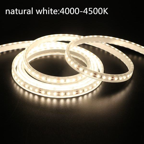 LED Strip Waterproof 12V 24V DC IP67 Natural White 4000K /Warm White 120LEDs/m 2835 Flexible Tape LED Light Lamp
