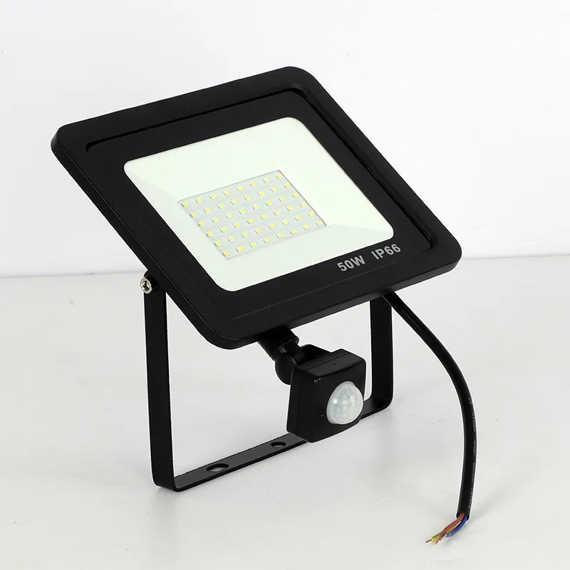 Induction Led flood light With Adjustable PIR Sensor 110V 220V floodlight 10W 20W 30W 50W 100W Street Square Outdoor Lighting
