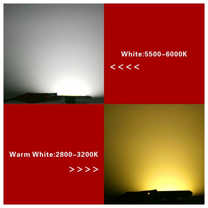 LED Chip 10W 20W 30W 50W 220V 110V COB Lamp Beads Smart IC No Need Driver LED Bulb for Flood Light Spotlight Diy Lighting