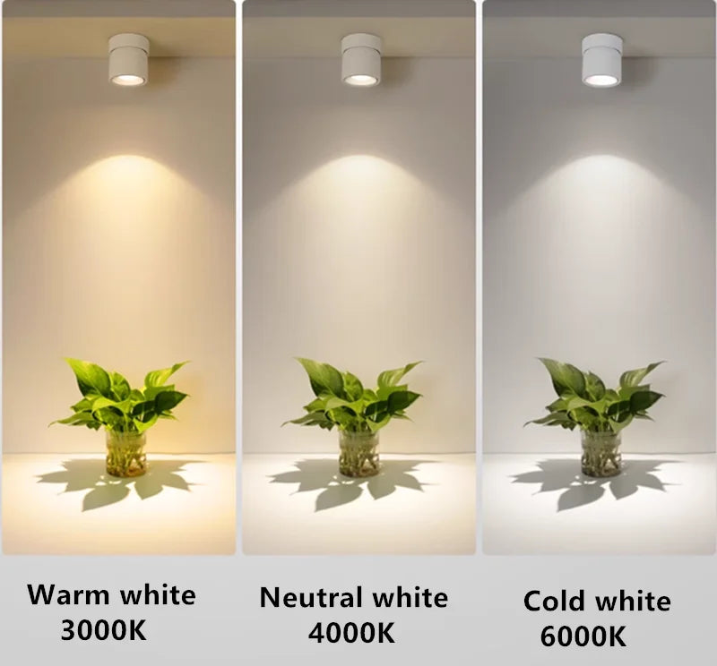 360 ° Rotatable And Foldable LED Downlights Dimmable 7W10W12W15W20W Surface Mounted Ceiling Lamp COB Spotlight AC85V-260V CRI 98