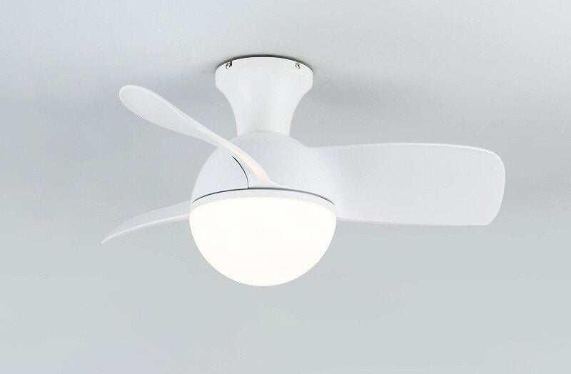 Modern LED Ceiling Fan Light for Kids Bedroom, 6-Speed Variable DC Motor, 24W LED Light, 30/36 inch Ceiling Fans