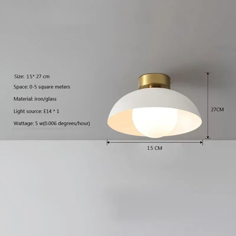Nordic LED Ceiling Light Minimalist Black White E27 Iron Indoor Decorative Lamp For Bedroom Living Room Study Restaurant Fixture