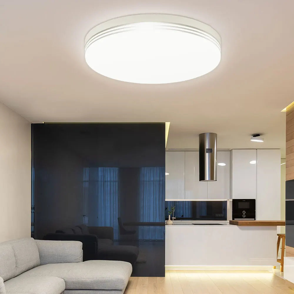 Modern LED Ceiling Lights Bedroom Lighting 48W 36W 24W 18W Round Ceiling Lamp Fixtures for Balcony Entrance Staircase Home Decor