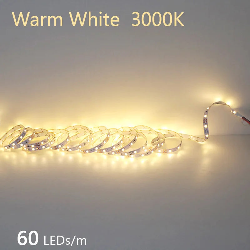 High-Density 2835 LED Strip Light | 5M 300 600 1200 LEDs | DC 12V 24V Tape