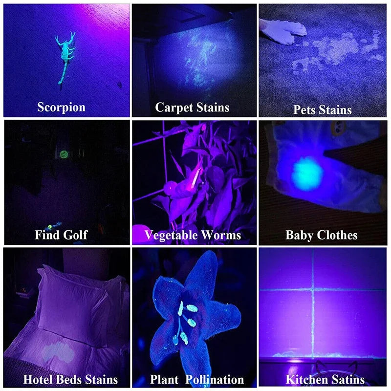395NM UV Flashlight Rechargeable Ultraviolet Torch Pet Urine Scorpion Detector UV Lamp Anti-counterfeiting Bill Seal Detector