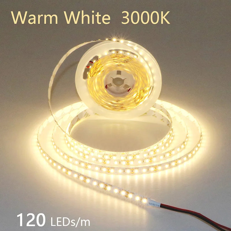 High-Density 2835 LED Strip Light | 5M 300 600 1200 LEDs | DC 12V 24V Tape