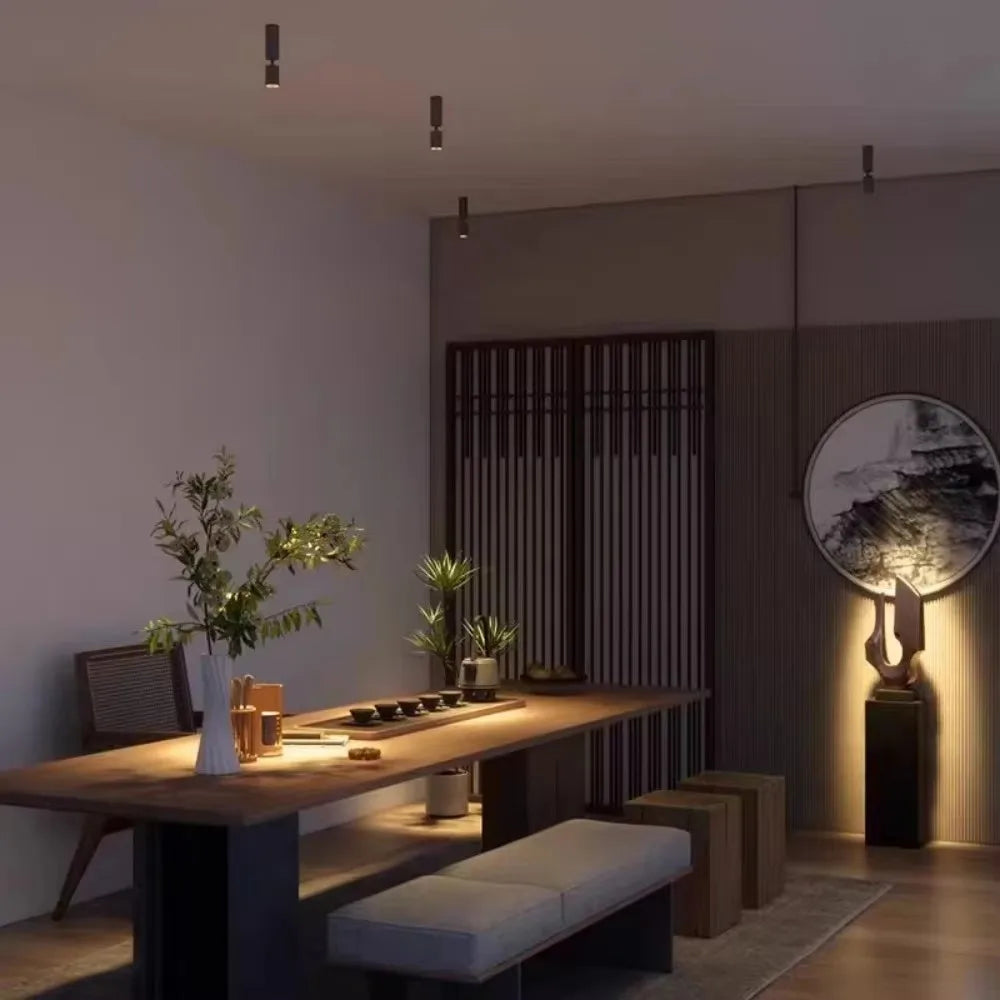 3° 8° 15° Surface Mounted LED Spot Small Angle Beam Home Lighting, Ceiling Mounted Ambient Backlight