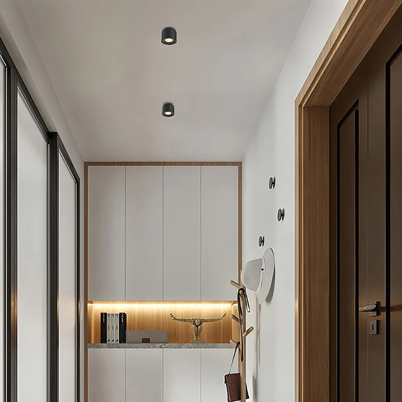 Aisilan Surface Mounted LED Downlight Ceiling Light CREE 7W 9W CRI97 Matte Aluminum COB Spot Light For Living Room Kitchen