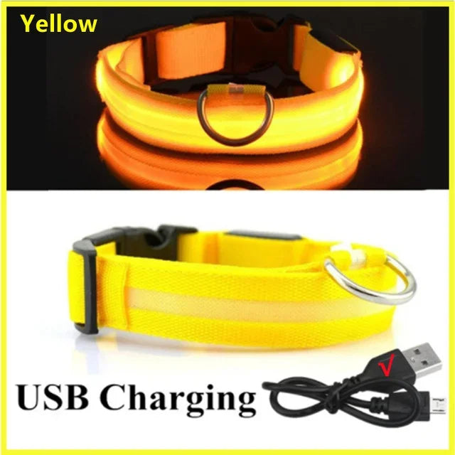 LED Glowing Dog Collar - USB Rechargeable Luminous Night Safety Collar