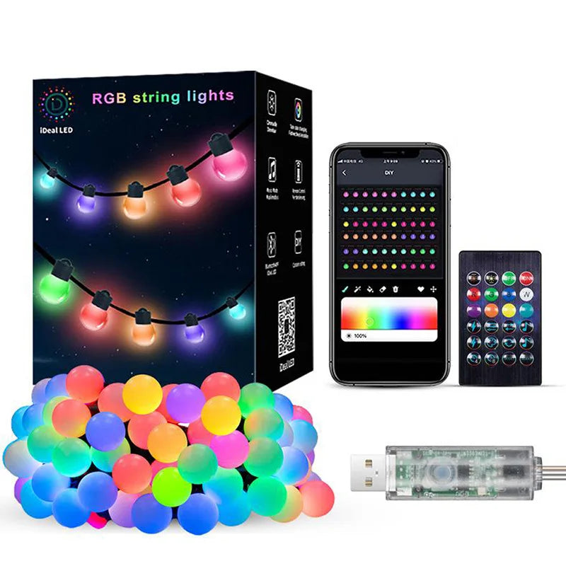 45583119581441