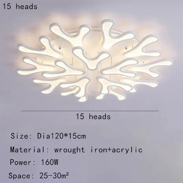 45436848079105|45436848111873|45436848341249