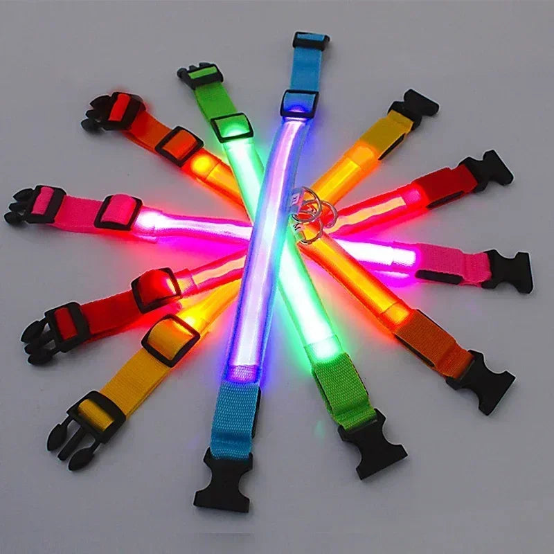 LED Glowing Dog Collar - USB Rechargeable Luminous Night Safety Collar
