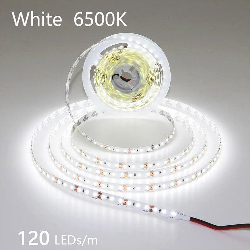 High-Density 2835 LED Strip Light | 5M 300 600 1200 LEDs | DC 12V 24V Tape