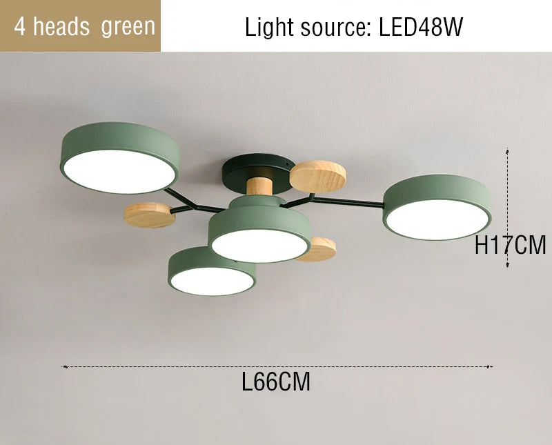 44437423882497|44437423980801