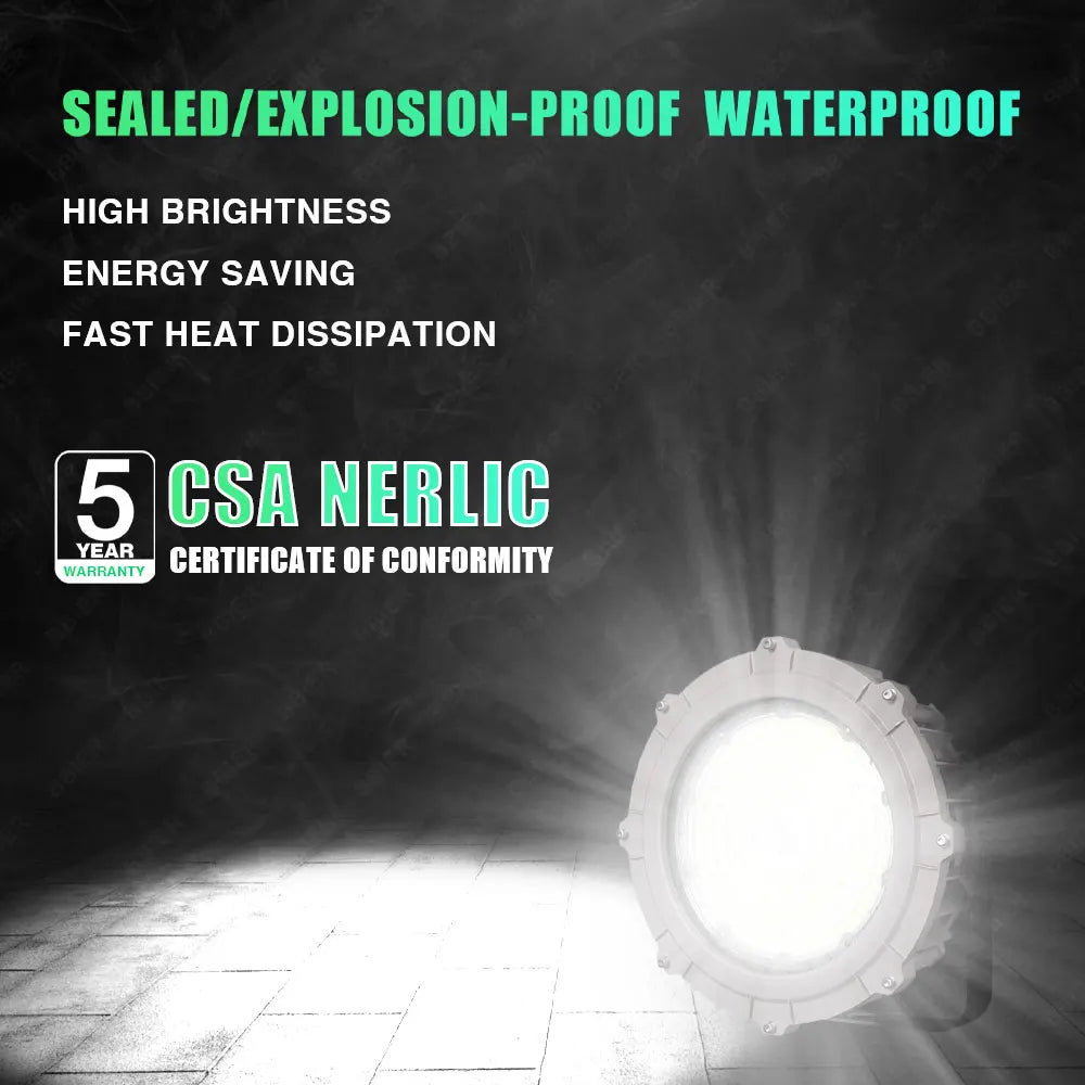 BBIER 200W Explosion-Proof LED High Bay Flood Light (IP65) - Flame-Resistant Hazardous Location Overhead Lighting Fixture