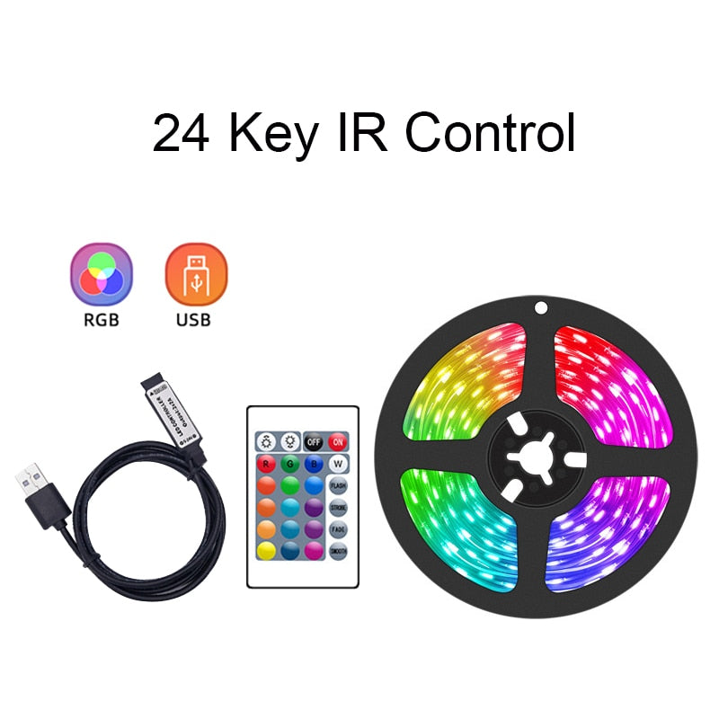 Led Strip Lights Bluetooth Usb Led Strips 5050 Music Sync Rgb Strip 5V Flexible Neon Light Strip For TV Black lights Decoration