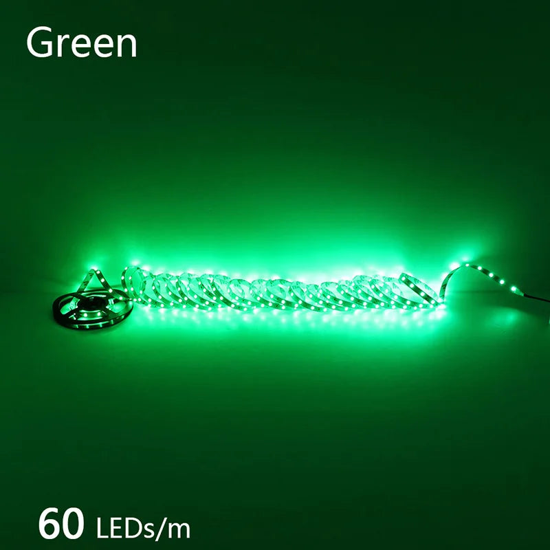 High-Density 2835 LED Strip Light | 5M 300 600 1200 LEDs | DC 12V 24V Tape
