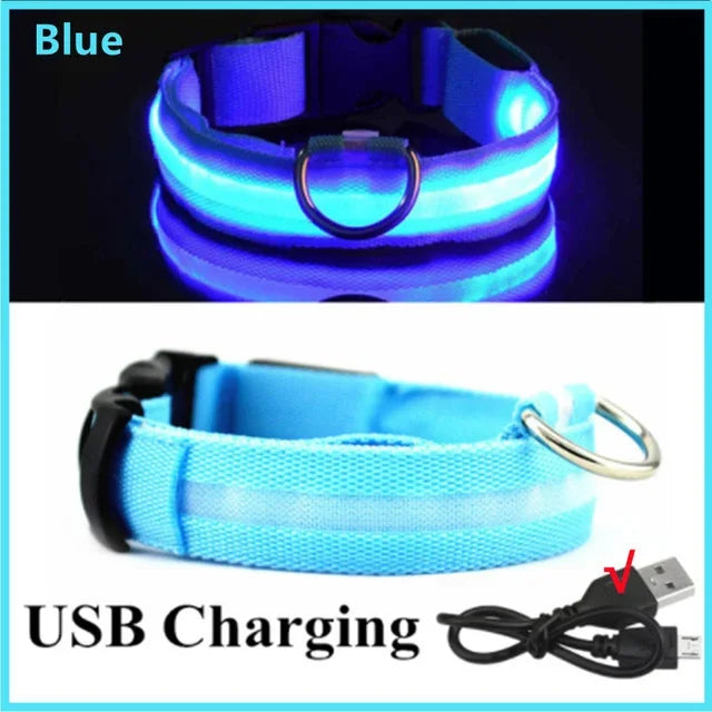 LED Glowing Dog Collar - USB Rechargeable Luminous Night Safety Collar