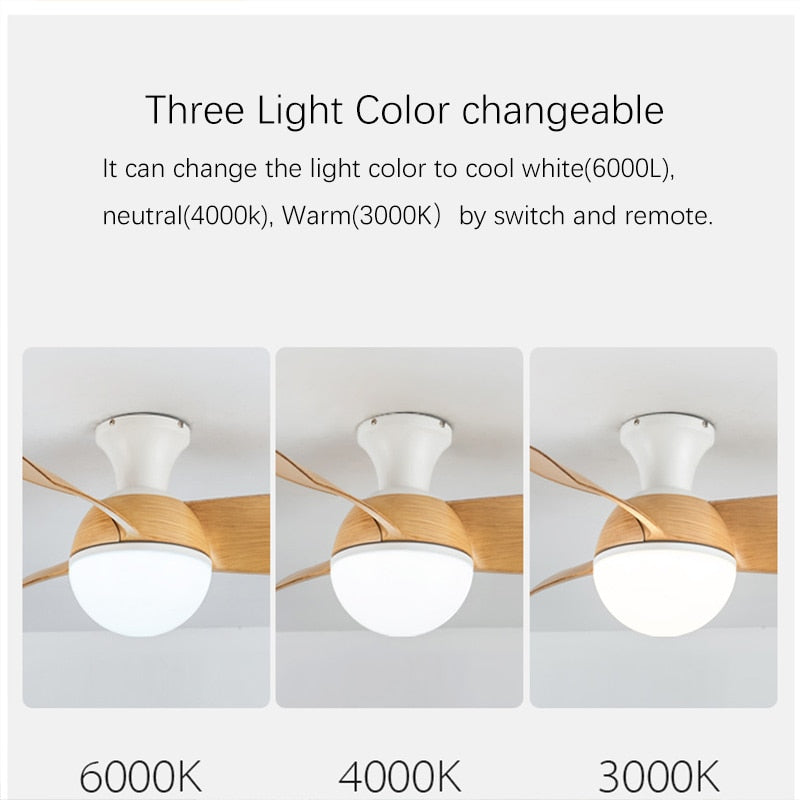 Modern LED Ceiling Fan Light for Kids Bedroom, 6-Speed Variable DC Motor, 24W LED Light, 30/36 inch Ceiling Fans