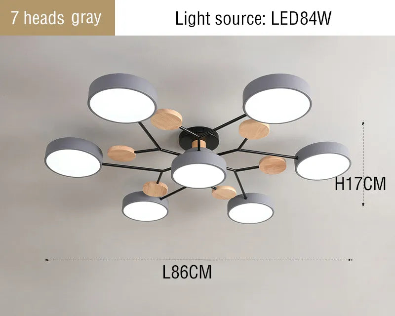 44437425717505|44437425783041