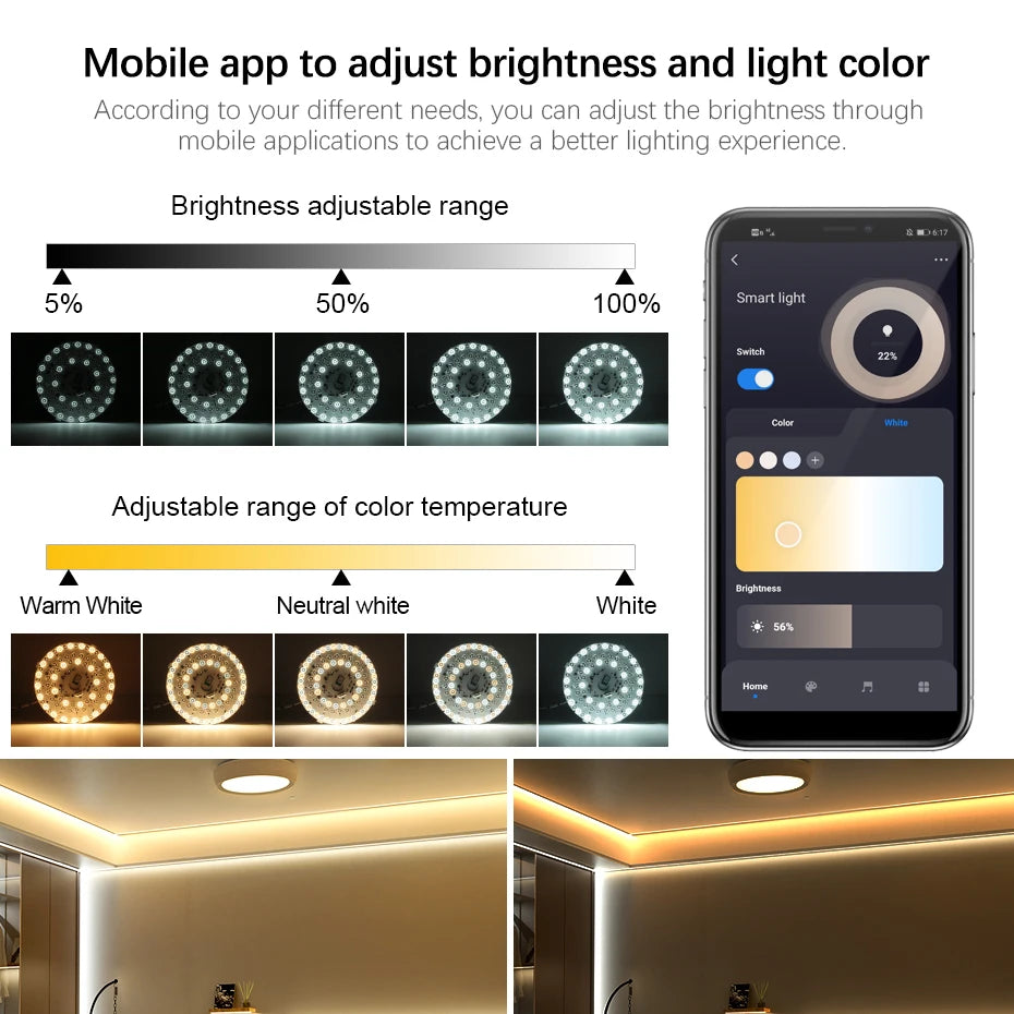 220V 40W Smart Ceiling Lamp Module RGB Dimming Work with Alexa Google Tuya Smart WiFi Control DIY Ceiling Light for Room Decor