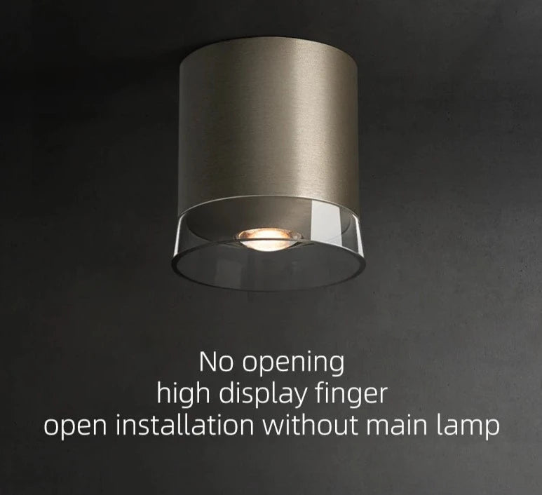 LED Surface Mounted Downlight 7W High CRI 97 Nickel Color Double Lens Ceiling Spot Light for Living Room Hallway Bedroom