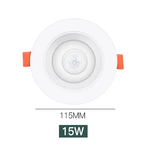 LED Downlights PIR Motion Sensor Down Light 5W 10W 15W 20W Recessed Ceiling Light Cold White Night Lamp LED Spotlight Downlight