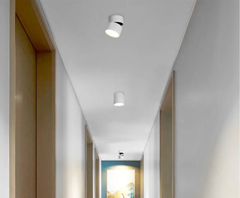 Surface Mounted Anti-Glare LED Tube Light Dimmable 7W10W15W20W24W Folding and Rotating Ceiling Lamp Spotlight 110/220V Downlight