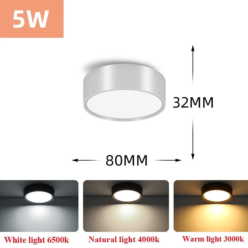 Led Downlight 220V Down Lights Surface Mounted 3/5/10/15/25W Ceiling Lamp For Indoor Living Room Bedroom Kitchen Lighting