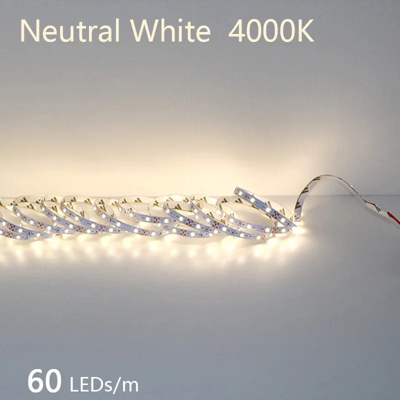 High-Density 2835 LED Strip Light | 5M 300 600 1200 LEDs | DC 12V 24V Tape
