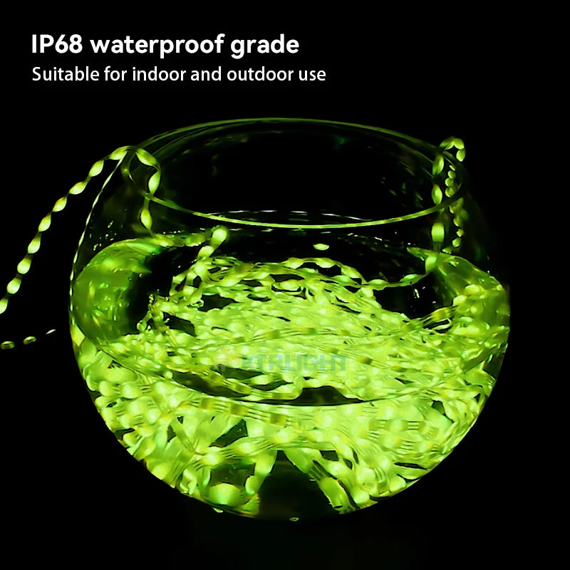 Ktrlight 12V 4pin WS2811 Data/GND/Return Black and transparent addressable Christmas Lights Addressable WS2812B RGBIC Seed Pixel