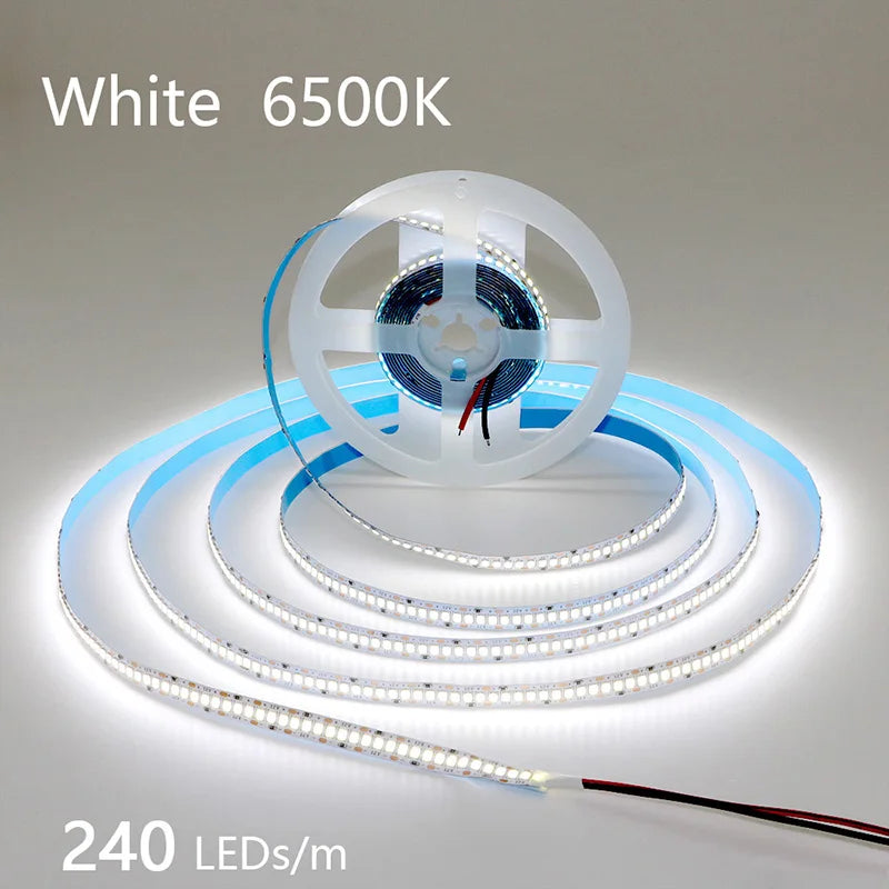 High-Density 2835 LED Strip Light | 5M 300 600 1200 LEDs | DC 12V 24V Tape