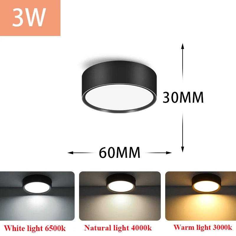 Led Downlight 220V Down Lights Surface Mounted 3/5/10/15/25W Ceiling Lamp For Indoor Living Room Bedroom Kitchen Lighting