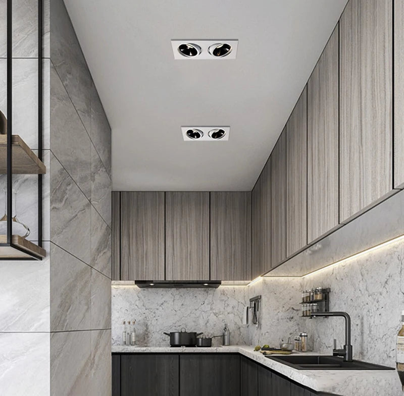 Recessed LED Ceiling Lamp 24W 10W Single/Double Head LED Spot lights COB Anti-Glare Downlight For Home Office Store Indoor