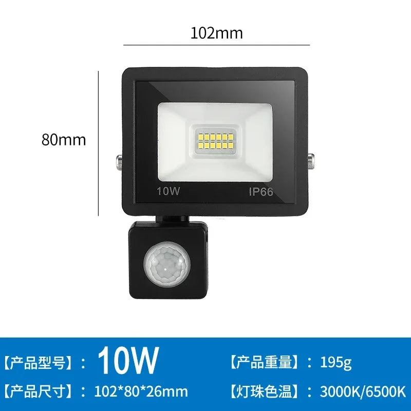 44756075348225|44756075380993