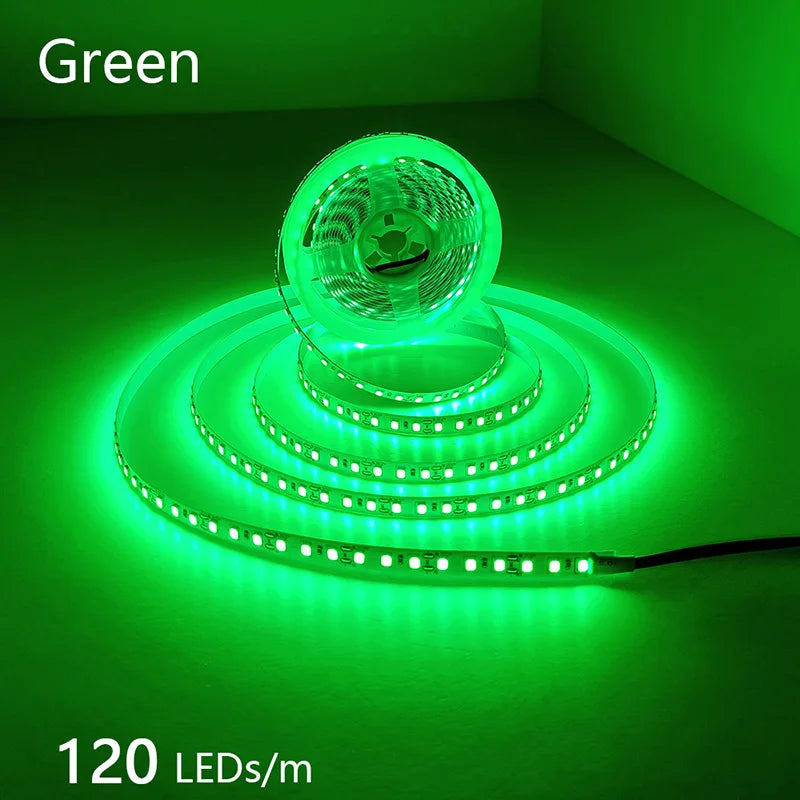 High-Density 2835 LED Strip Light | 5M 300 600 1200 LEDs | DC 12V 24V Tape
