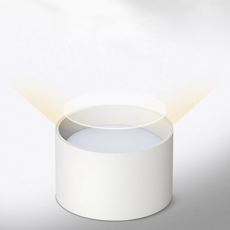 High Quality LED Small Ceiling Lamp Surface Mounted Downlight 8W 12W 15W Ceiling Down Light For Living Room Bedroom Corridor