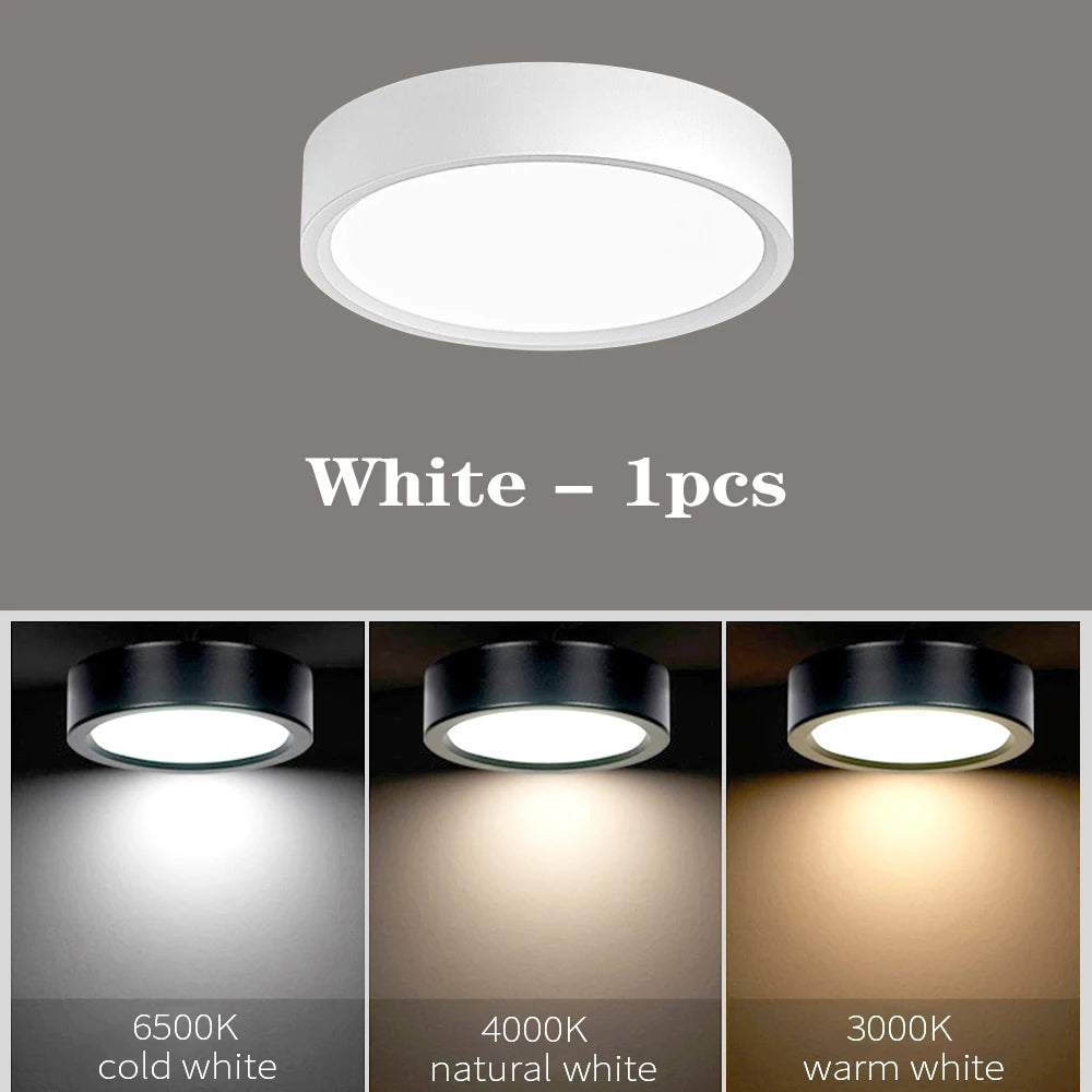 LED Ceiling Light 5W 10W 15W 18W 24W Surface Mounted Downlight Ceiling Lamp for Living Room Kitchen 220V Spotlight Panel Lights