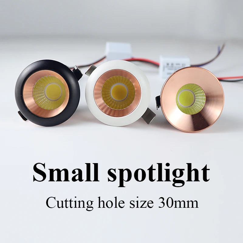 3W Aluminum Round LED Dimmable Ceiling Downlight AC110V 220V Recessed LED Spot Light Led Bulb Cutout 30mm With Driver