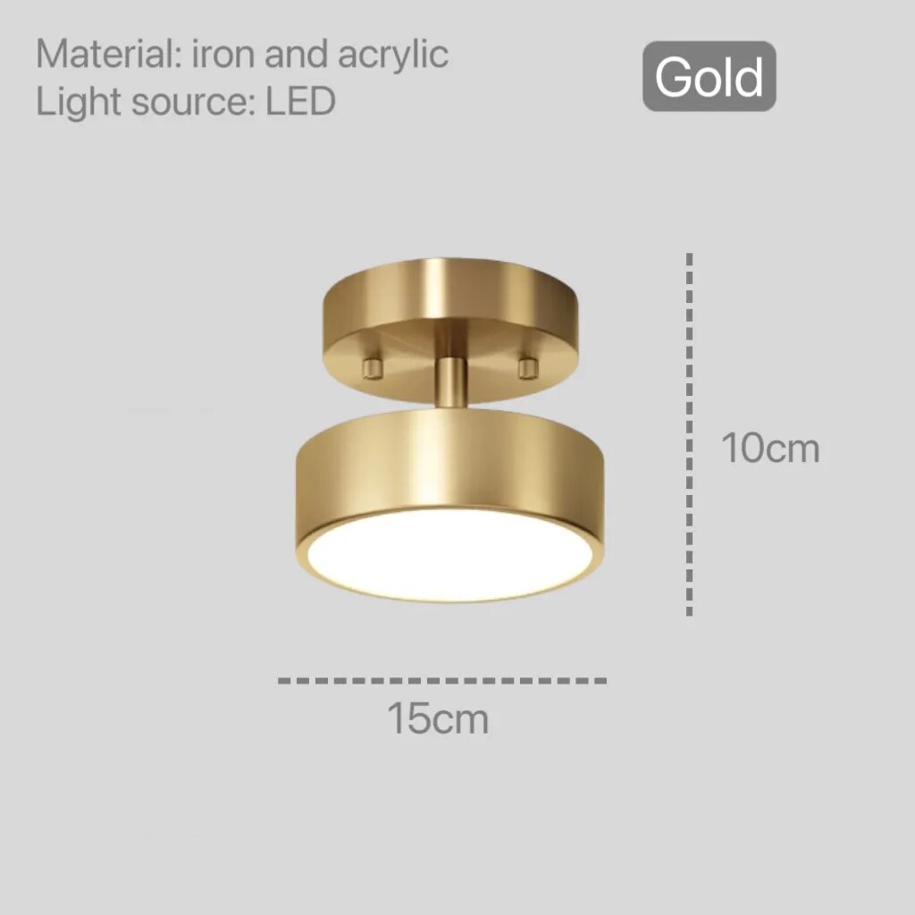 Modern Gold Led Ceiling Lights for Bedroom Hallway Corridor Balcony Round Decoration Lamp Lighting Chandelier Nordic Indoor