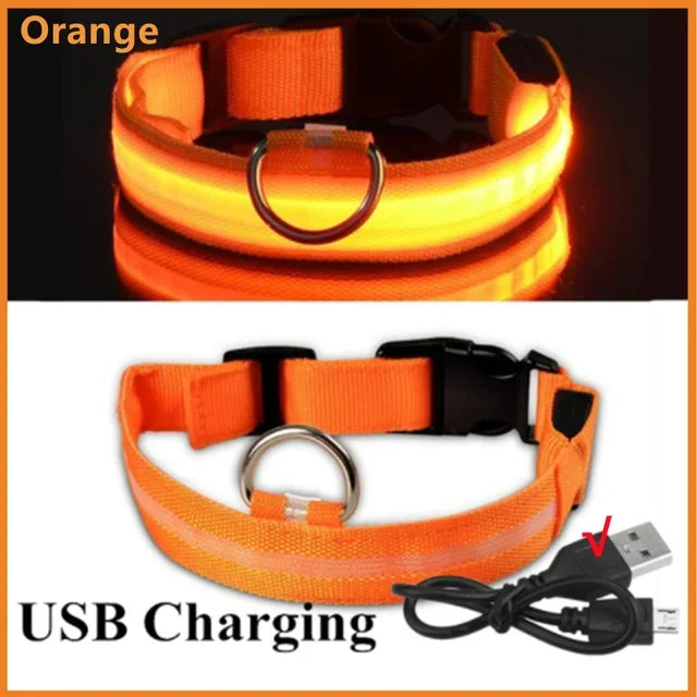 LED Glowing Dog Collar - USB Rechargeable Luminous Night Safety Collar