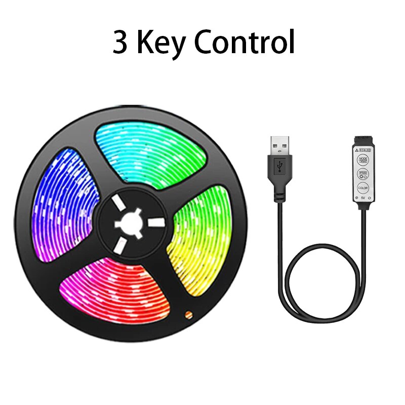 Led Strip 10M Light RGB Infrared Bluetooth ontroller luces Luminous Decoration For Living Room 5050 Ribbon Lighting Fita Lamp