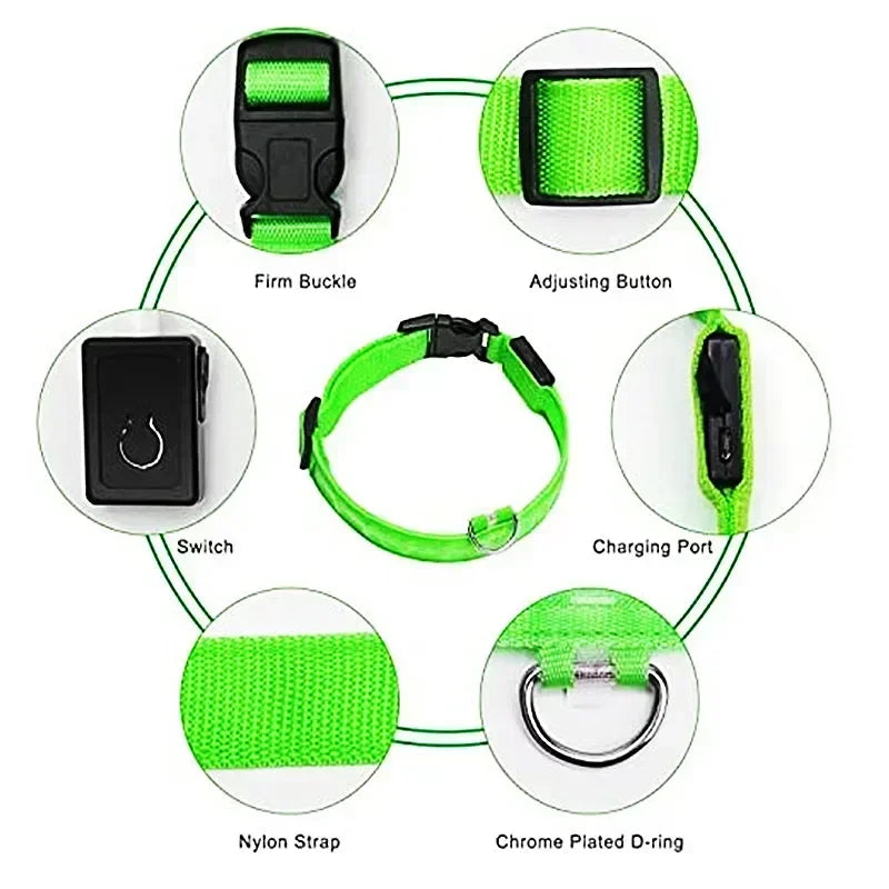 LED Glowing Dog Collar - USB Rechargeable Luminous Night Safety Collar