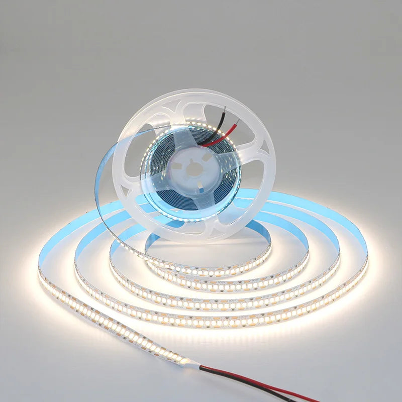 High-Density 2835 LED Strip Light | 5M 300 600 1200 LEDs | DC 12V 24V Tape
