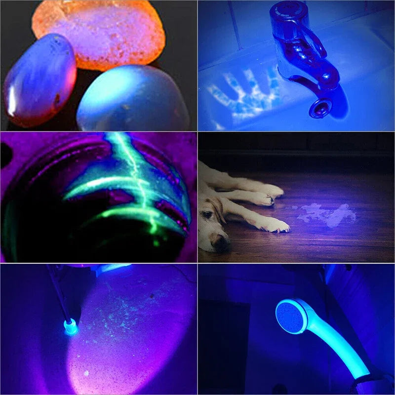 395NM UV Flashlight Rechargeable Ultraviolet Torch Pet Urine Scorpion Detector UV Lamp Anti-counterfeiting Bill Seal Detector