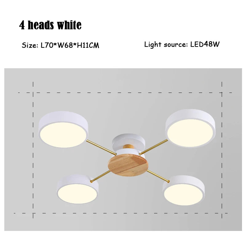 44437426045185|44437426077953