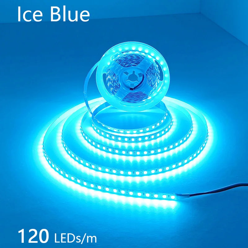 High-Density 2835 LED Strip Light | 5M 300 600 1200 LEDs | DC 12V 24V Tape