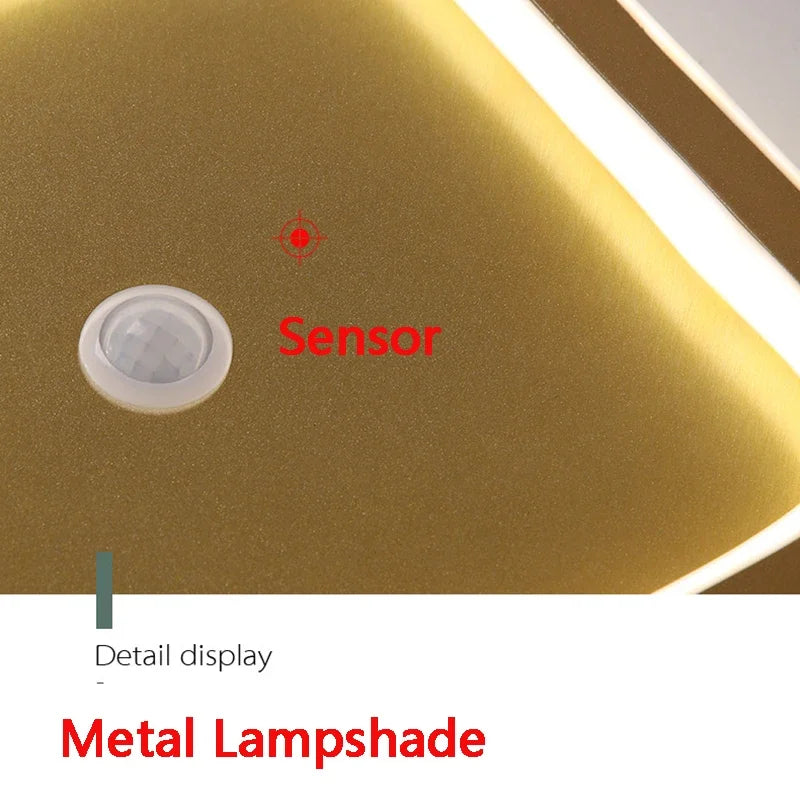 Indoor PIR Motion Sensor LED Ceiling Lights Fixtures for Corridor Balcony Human Induction LED Ceiling Lamps for Bedroom AC85-265